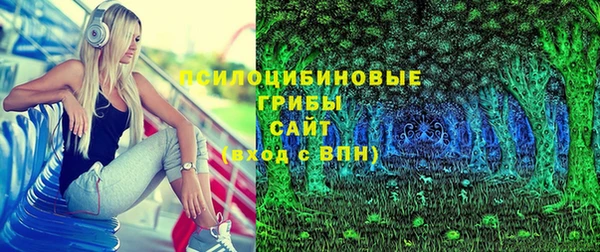 дживик Алексин