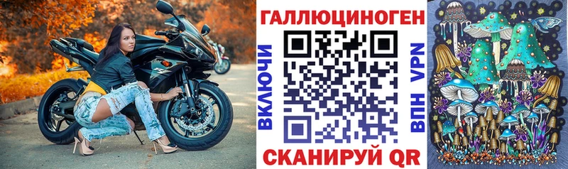 Псилоцибиновые грибы мицелий Трубчевск